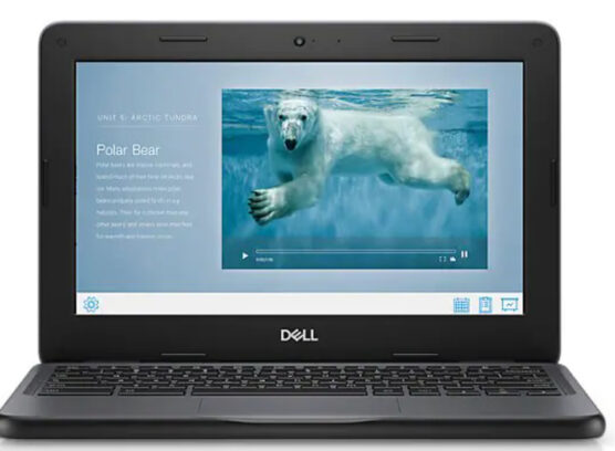 Dell Chromebook 3100