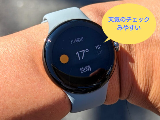 Pixel Watchの使い道